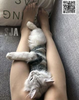 三上老师无码_超清在线视频播放